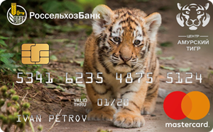 💳 Амурский тигр