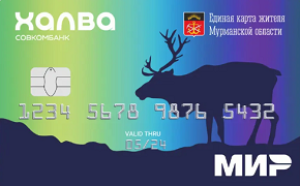 💳 Единая карта жителя Мурманской области